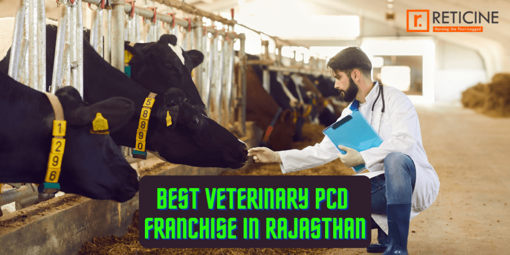Best Veterinary PCD Franchise in Rajasthan