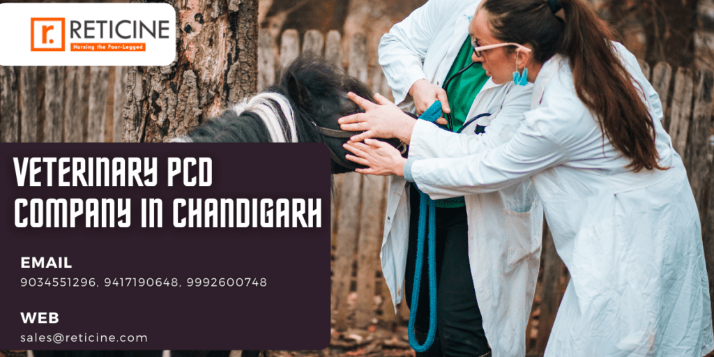 Veterinary PCD Company in Chandigarh