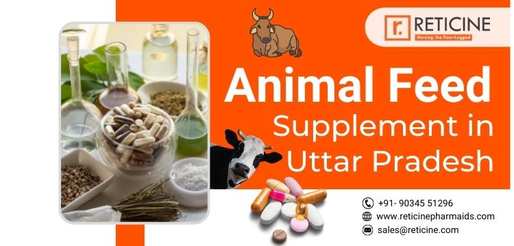 Animal Feed Supplement in Uttar Pradesh