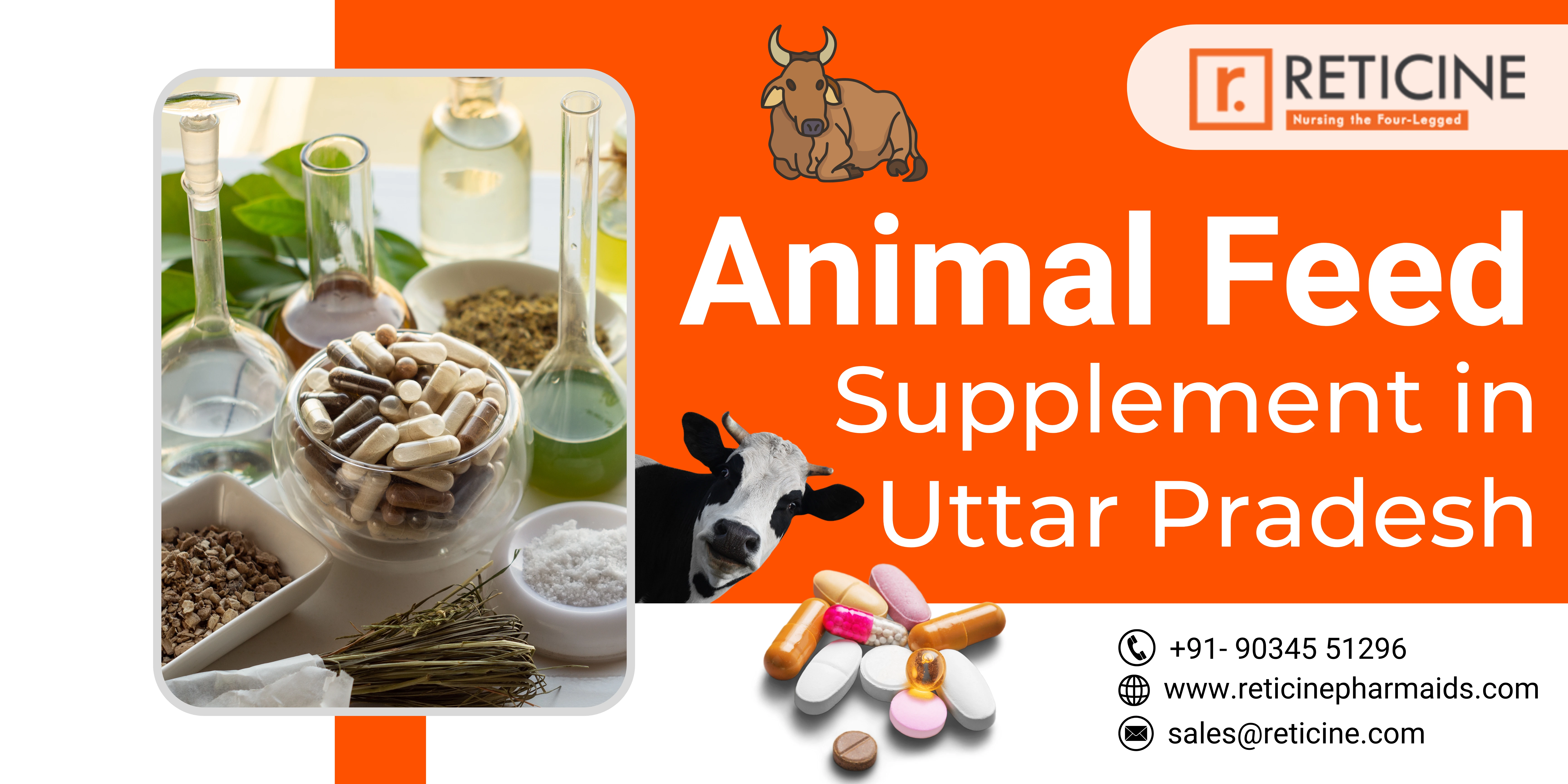 Animal Feed Supplement in Uttar Pradesh | Reticine Pharmaids