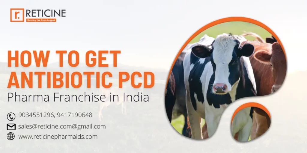 How to Get Antibiotic PCD Pharma Franchise in India