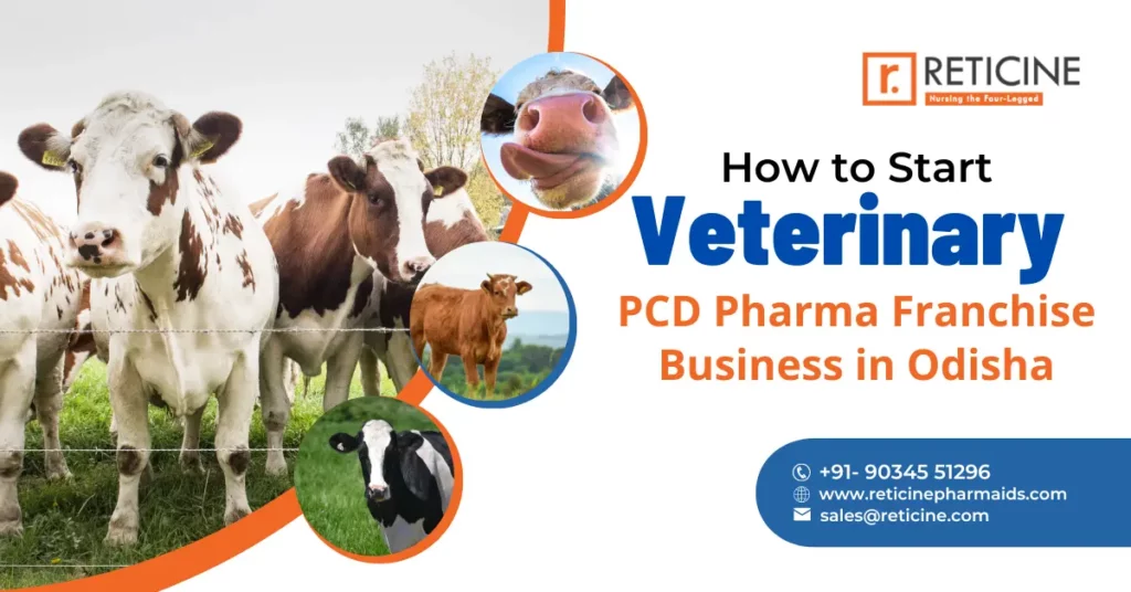 How to Start Veterinary PCD Pharma Franchise Business in Odisha